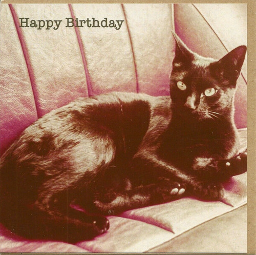 Open happy birthday greeting - open,
