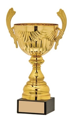 Personalised cup trophy gold - cup,