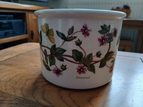 Portmeirion plant pot - plant,