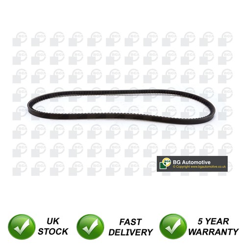 Alternator belt sjr fits - alternator,