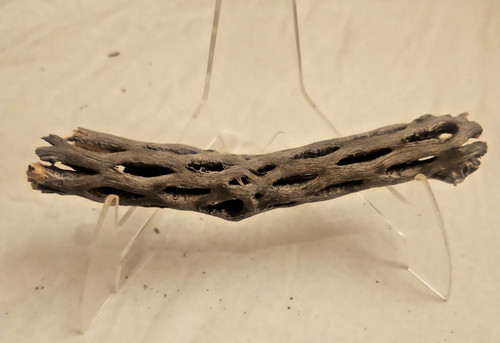 One wish willow prop - one, real