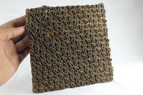 Vintage indian wooden printing - wooden,