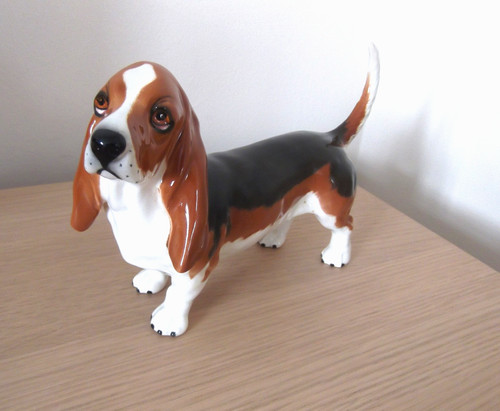 Large beswick dog basset - dog,