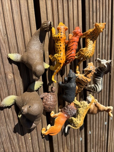 Bundle zoo animal plastic - bundle,