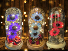 LED Light Flower Forever Gift in Glass Dome for Mum Mummy Mothers Day Present