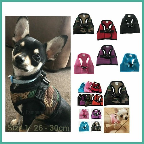 Xxs puppy dog harness - dog, yorkie