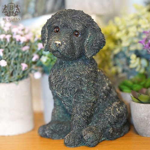 Cockapoo puppy dog bronze - dog,