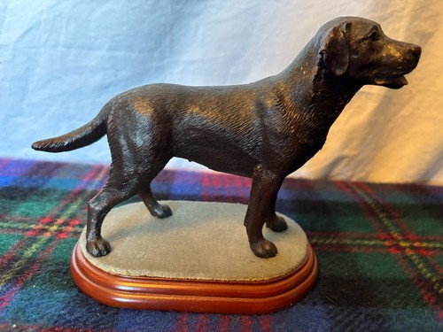 Brown labrador retriever - labrador,