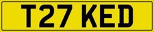 TRIKE TRIKES NUMBER PLATE 3