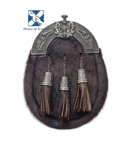 Scottish brown fur thistle - scottish,