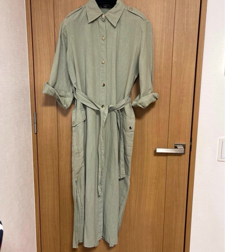 Zara buttoned belted dress/