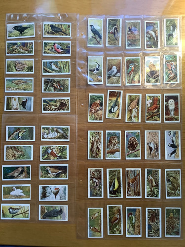 Cigarette cards wild birds - cards,