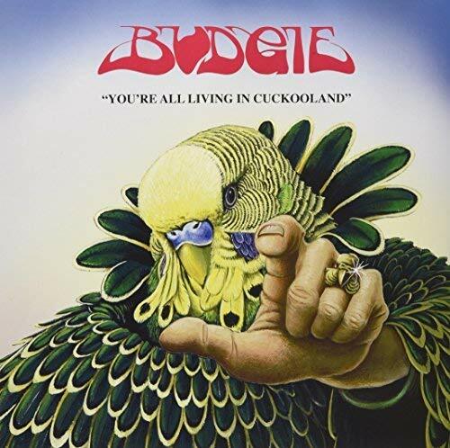 Budgie you all living in - -,