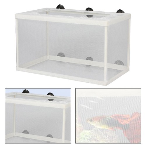 Fish crate separator - fish,