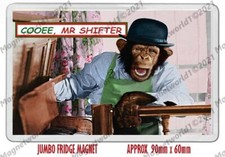 RETRO 70'S TV - PG TIPS MONKEY - MR SHIFTER  NEW JUMBO FRIDGE MAGNET OR KEYRING 