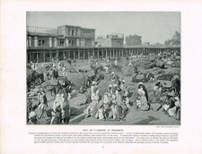 Halt Of A Caravan At Peshawur Pakistan Antique Print Old Picture 1899 TQET#84