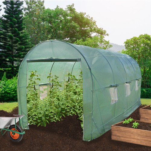 Polytunnel greenhouse walk - polytunnel,