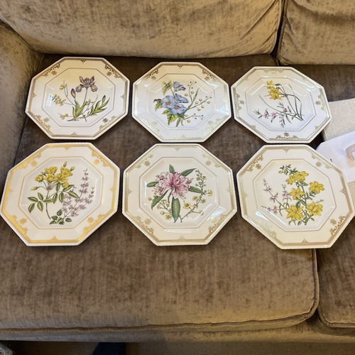 Spode the cabinet collection - spode,