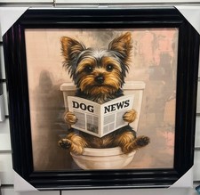 Yorkshire Terrier  Toilet