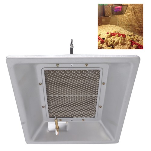 Airshi gas brooder - gas, heater