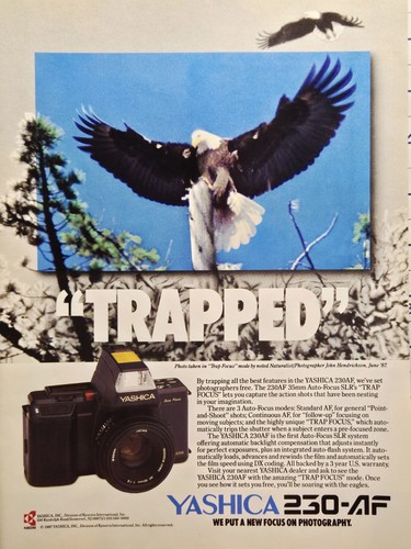 Yashica 230af camera - print, ad