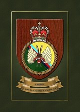 14th INTELLIGENCE COMPANY