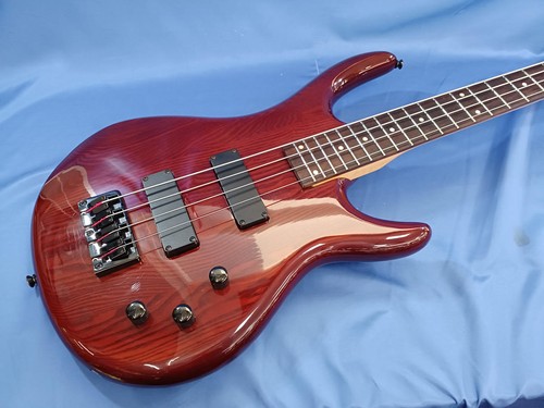 Epiphone embassy electric bass - electric,