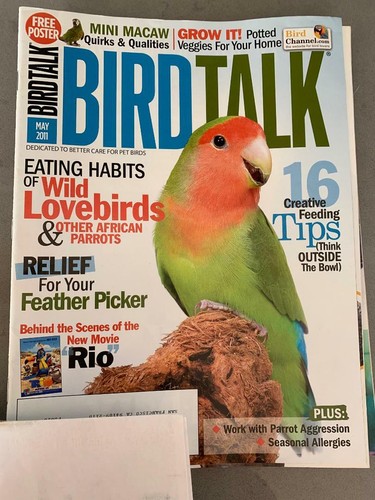 Bird talk magazine - talk,