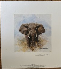 Elephant - The Cameo