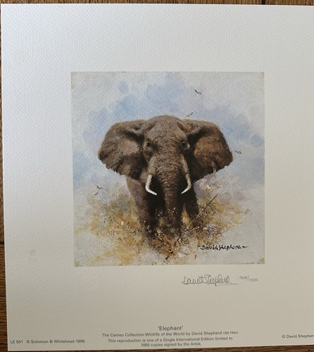 Elephant the cameo - -,