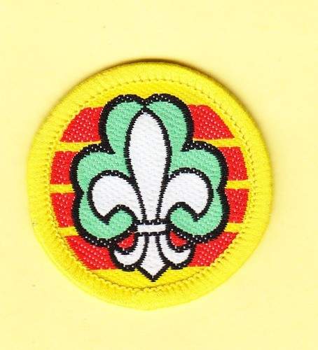 Boy scout girl guide badge - scout/,