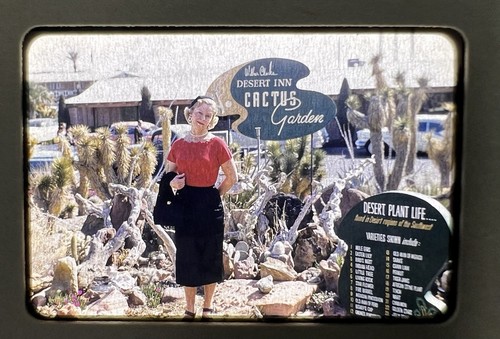 Kodachrome 35mm slide woman - kodachrome,