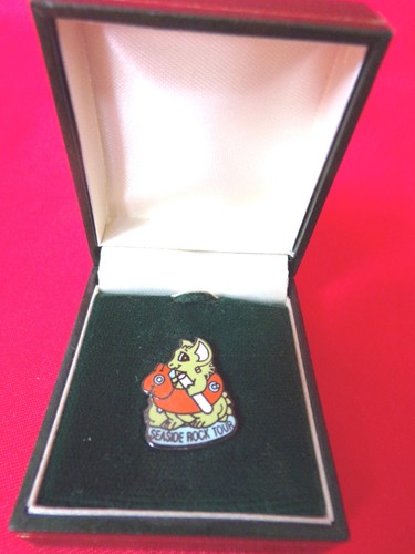Pocket dragons pin badge - dragons,