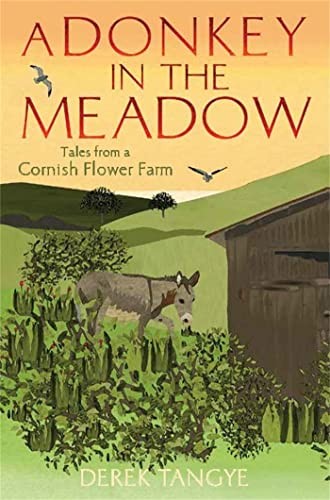 Donkey the meadow minack - a, in