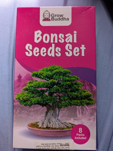 Grow buddha bonsai tree - buddha,