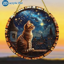 Cat On Rooftop Under Starry