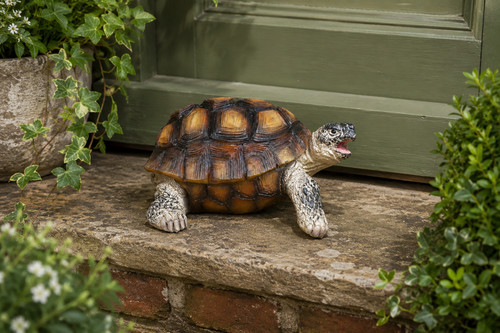Realistic tortoise garden - realistic,