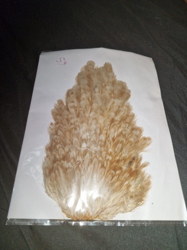 Large saddle hen hackles - large,