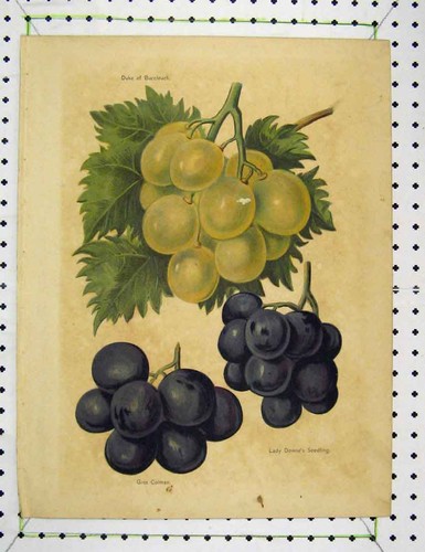 Original old antique print - original,