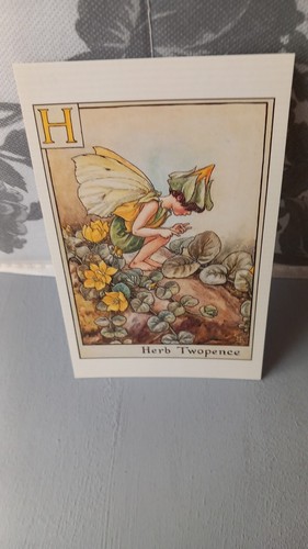 Postcard flower fairies the - postcard,