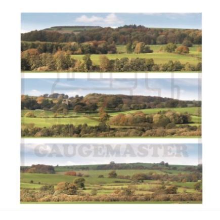 Gm709 gaugemaster scenics - gaugemaster,