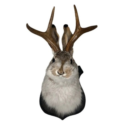Animal home decoration - animal,