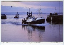 Large 1980's Postcard -