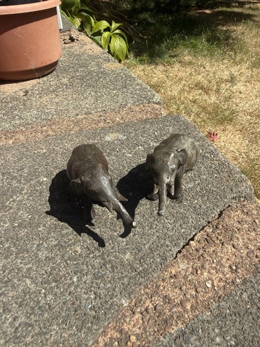 Antiqued patinated bronze - patinated,