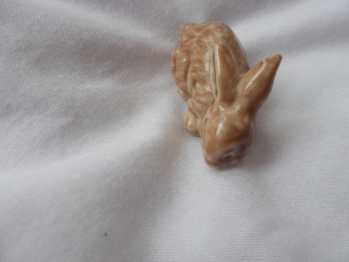 Wade bunny rabbit - ,