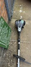 Titan petrol pole hedge - titan,