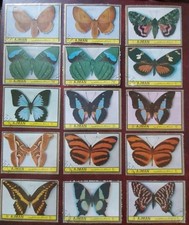 28 CTO Ajman 1972 Butterflies