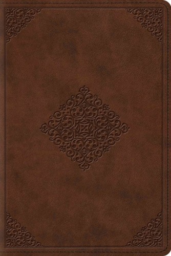 Esv study bible personal size - study,