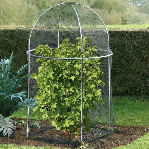 Domed fruit cage - steel, garden