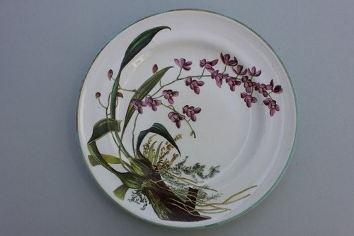 Minton plate botanica - minton,